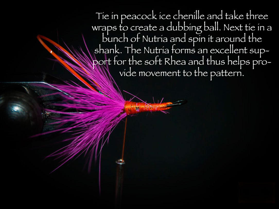 Peacock Ice Chenille - Fly Tying Instructions