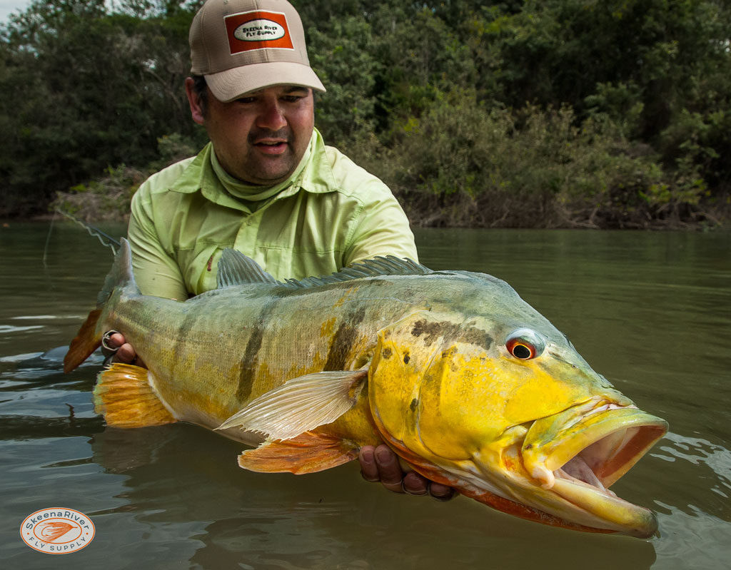 Colombia Fly Fishing Destination Fishing in Colombia Fly Fishing Travel