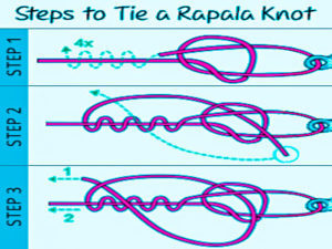 Steps to Tie a Rapala Knot - Tapam Special